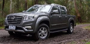 Great Wall Steed
